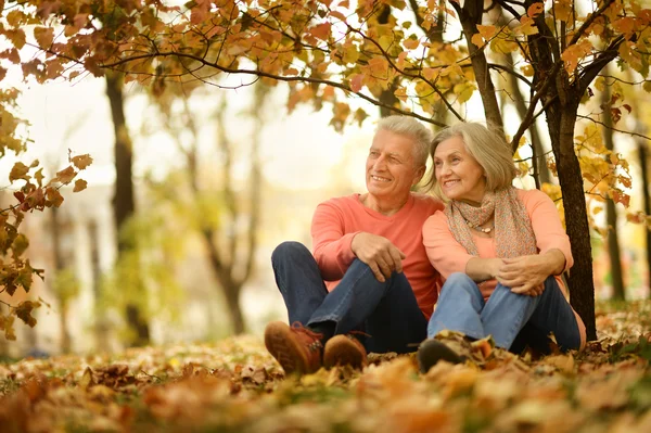 A retired couple enjoy a quiet moment in an autumnal forest.